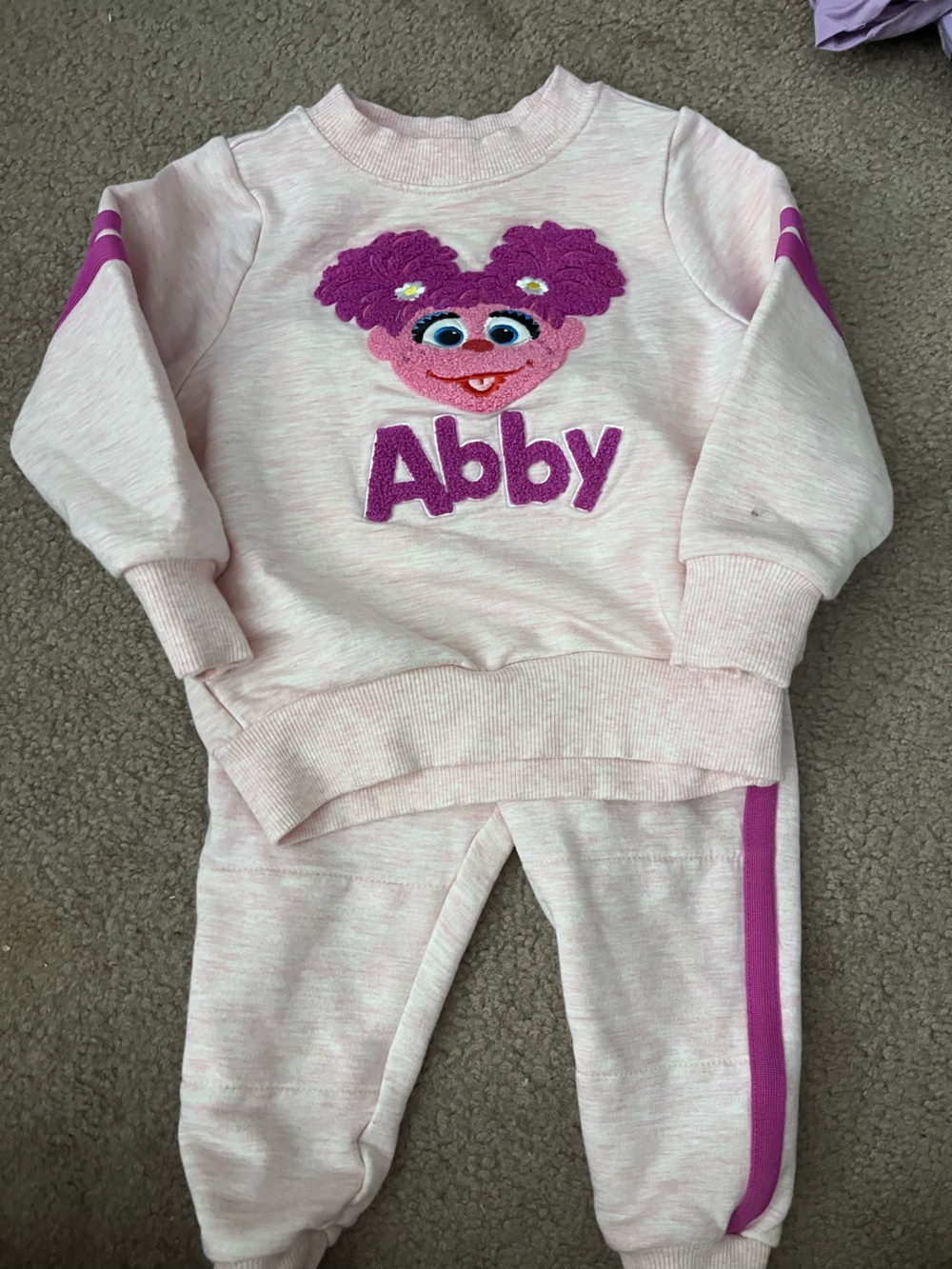 Little Sleepies Pink Abby Embroidered Pullover Sweatshirt